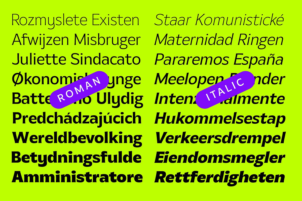 MTC Gilcho Flare - Variable Font, a Sans Serif Font by Martype (Photo 6 of 20)