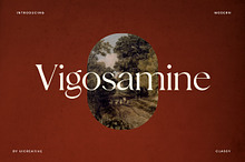 Vigosamine Luxury Serif Font