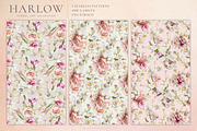 Harlow Floral Art Collection, an Object Graphic by Eclectic Anthology (Thumbnail 3 of 13)