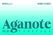 Aganote Typeface | 91 Style Font, a Serif Font by Bosstype Studio (Thumbnail 1 of 12)