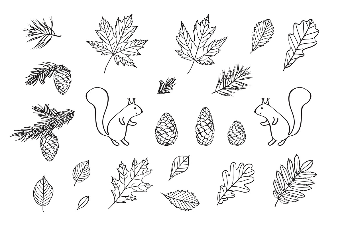 Hand drawn leaves of different trees, a Decorative Illustration by Tkoko vectors & patterns (Photo 8 of 14)