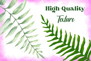 Leaves, a Decorative Illustration by Digital Studio (Thumbnail 3 of 7)