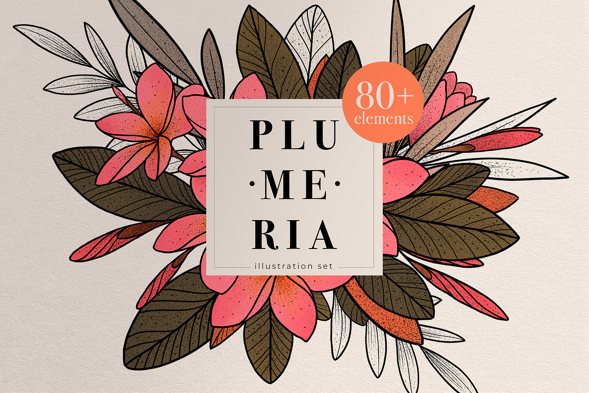 Illustration set Plumeria, an Illustration by Maria Summer (Photo 1 of 13)