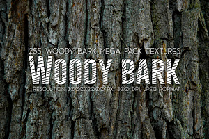 Woody Bark Textures