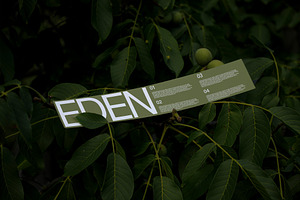 FORMAT EDEN PAPERSTRIP 01