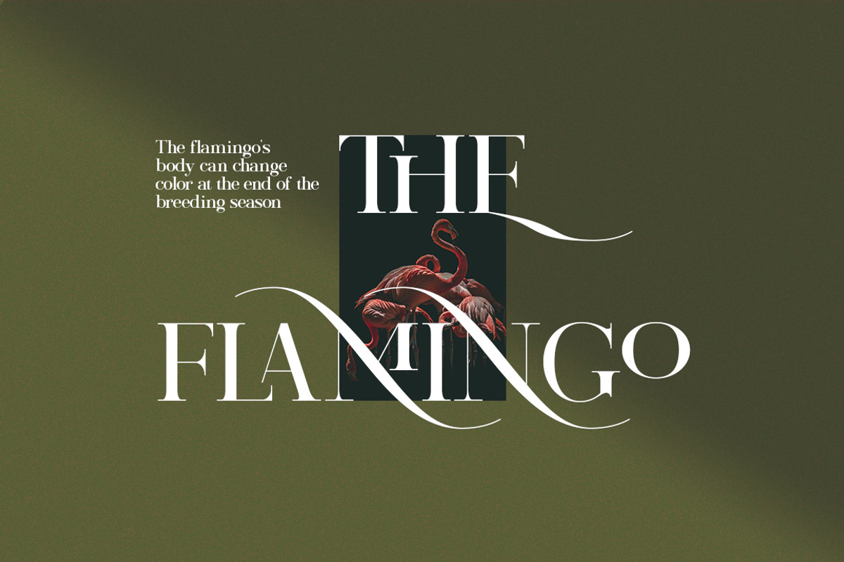 Morissa | Elegant serif, a Serif Font by Areatype (Photo 20 of 21)