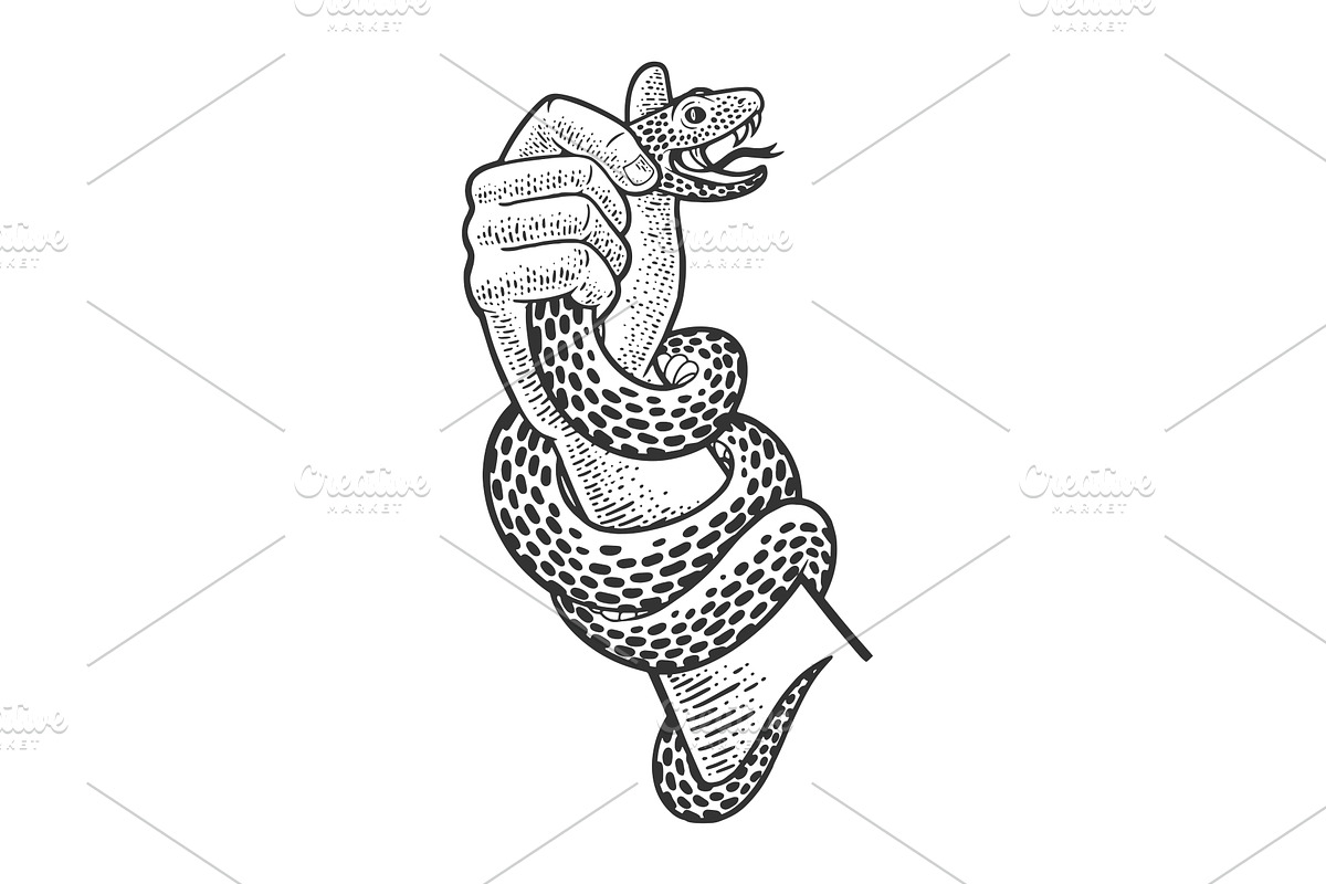 Hand with snake sketch vector, an Animal Illustration by AlexArt