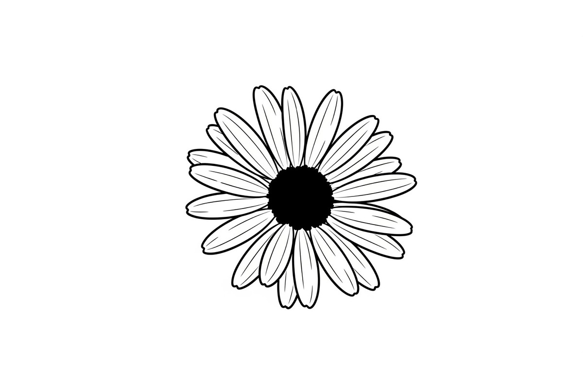Daisy Flower Line Art Vector Bundle0, an Illustration by jahid234 (Photo 27 of 51)