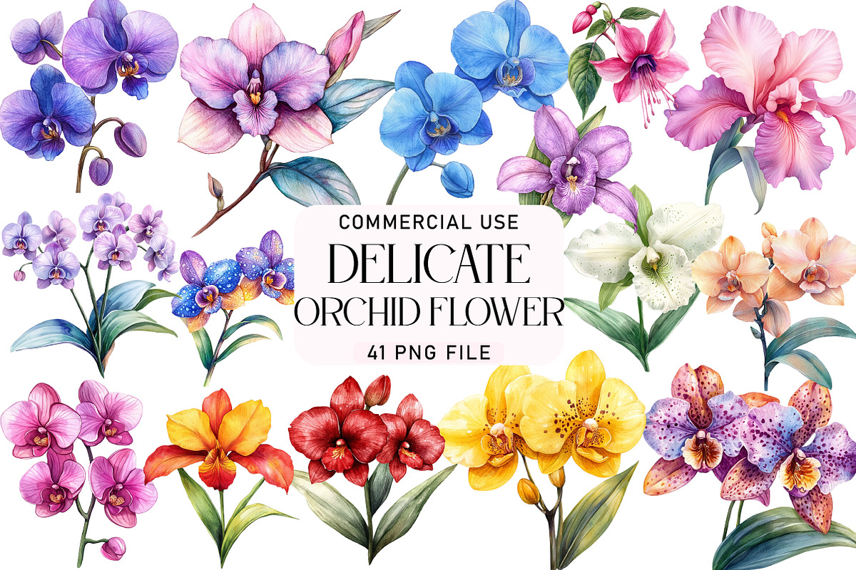 Delicate Orchid Flower Clipart, an Illustration by Daily.Designs (Photo 1 of 4)