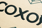 Coxora - Elegant Serif Typeface, a Serif Font by Astuti Studio (Thumbnail 22 of 24)