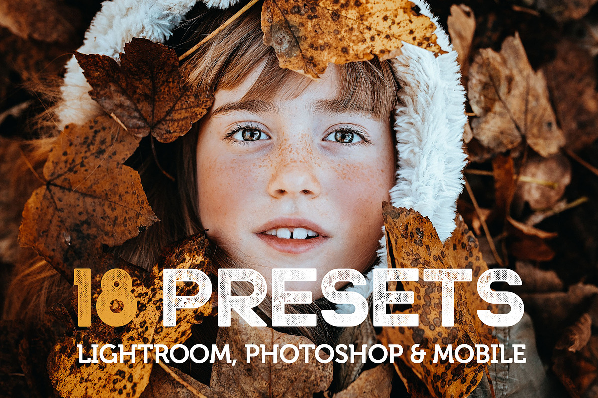Bjorndale Presets - Desktop & Mobile, an Action Add-On by Presetrain Co. (Photo 9 of 9)