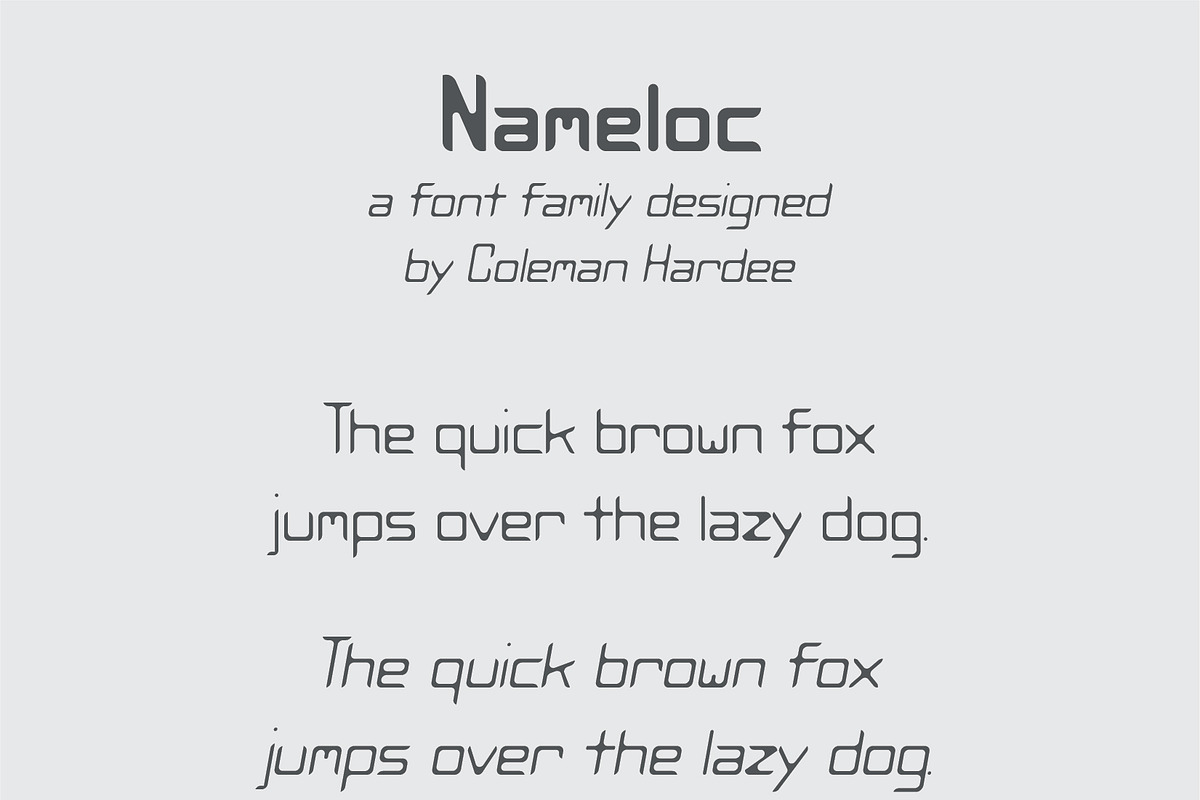 NAMELOC - Font Family, a Sans Serif Font by Coleman Hardee (Photo 2 of 2)