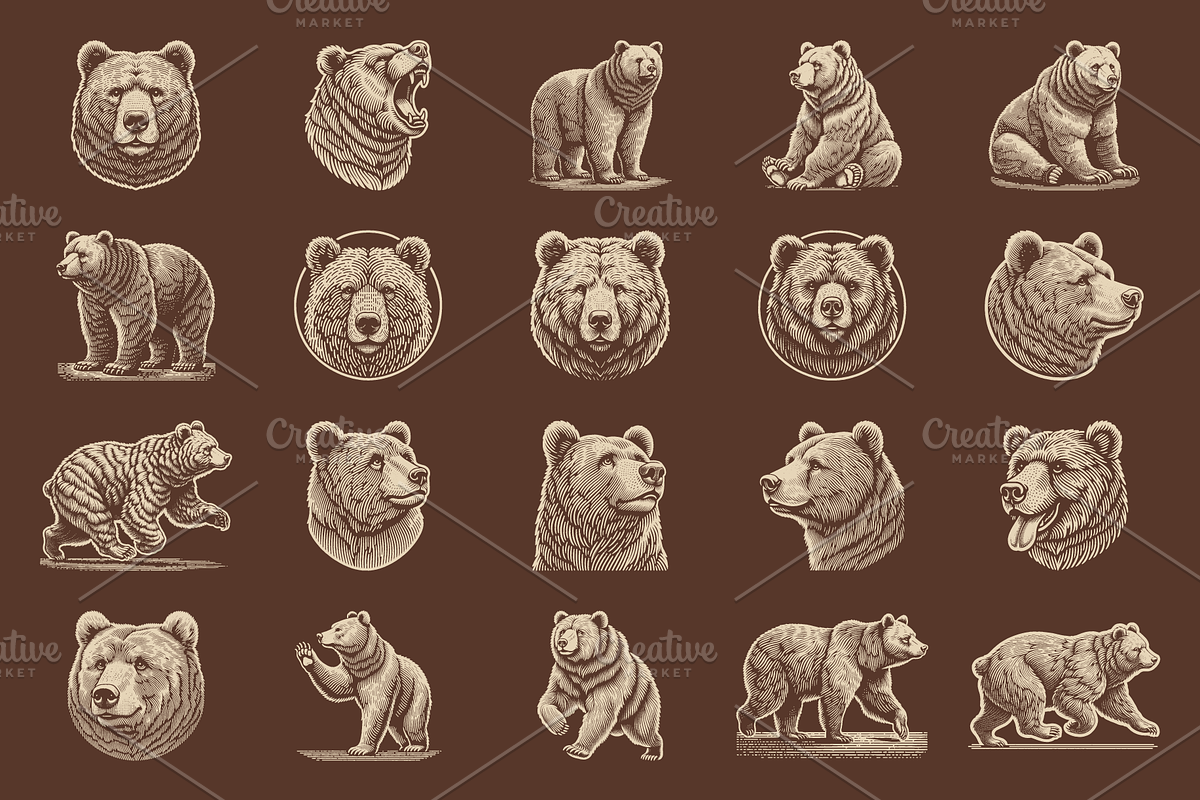 Vintage Hand-Drawn Brown Bear Design, an Animal Illustration by devastd (Photo 3 of 10)