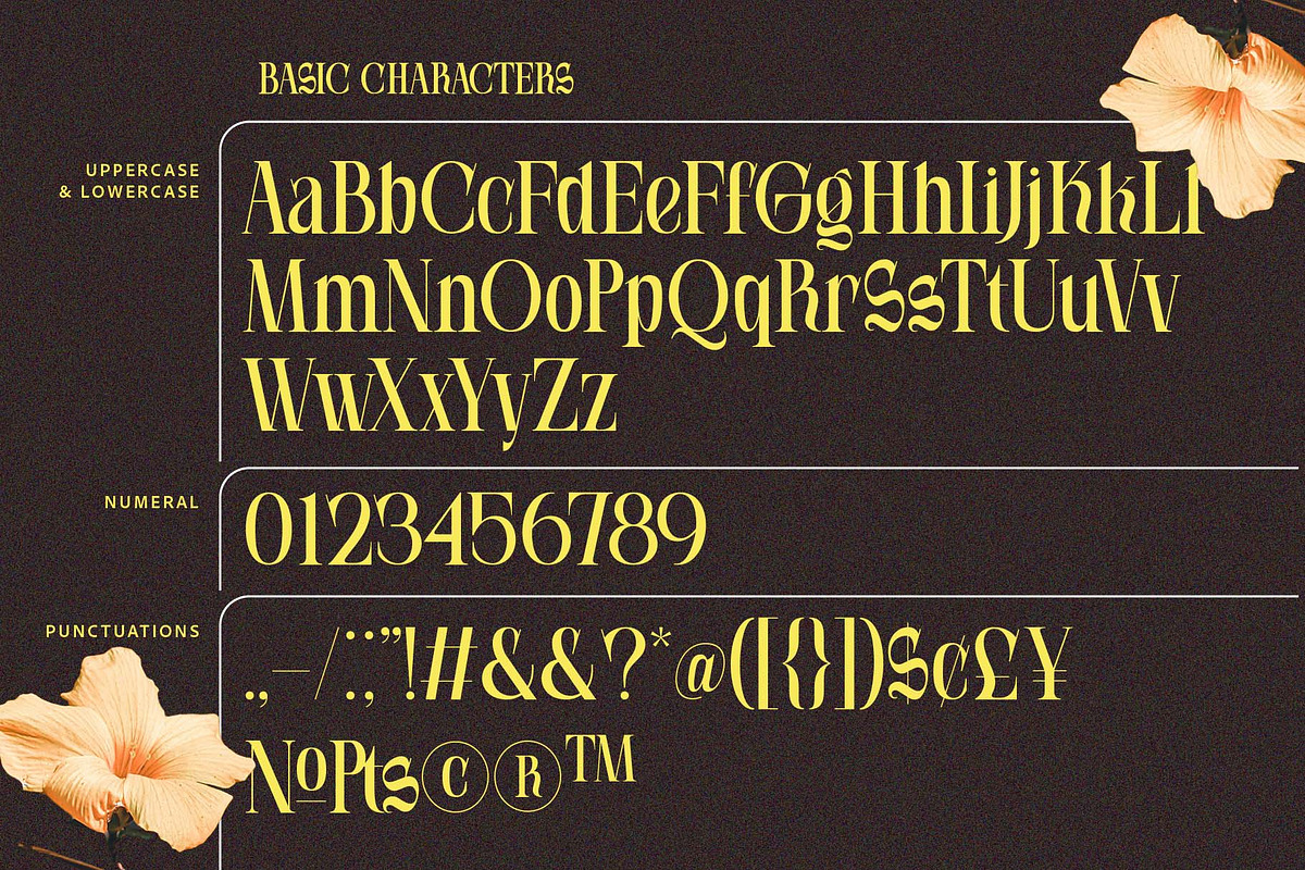 Soneburg; Display Serif Font, a Serif Font by Eko Bimantara (Photo 9 of 10)