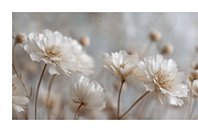 Hihe Co. White Floral Art, a Texture Illustration by milatovar (Thumbnail 10 of 20)
