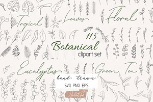 Organic shapes, drawn floral forms