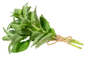 Mint sprigs tied with rope on isolated background, a Food & Drink Photo by ndanko