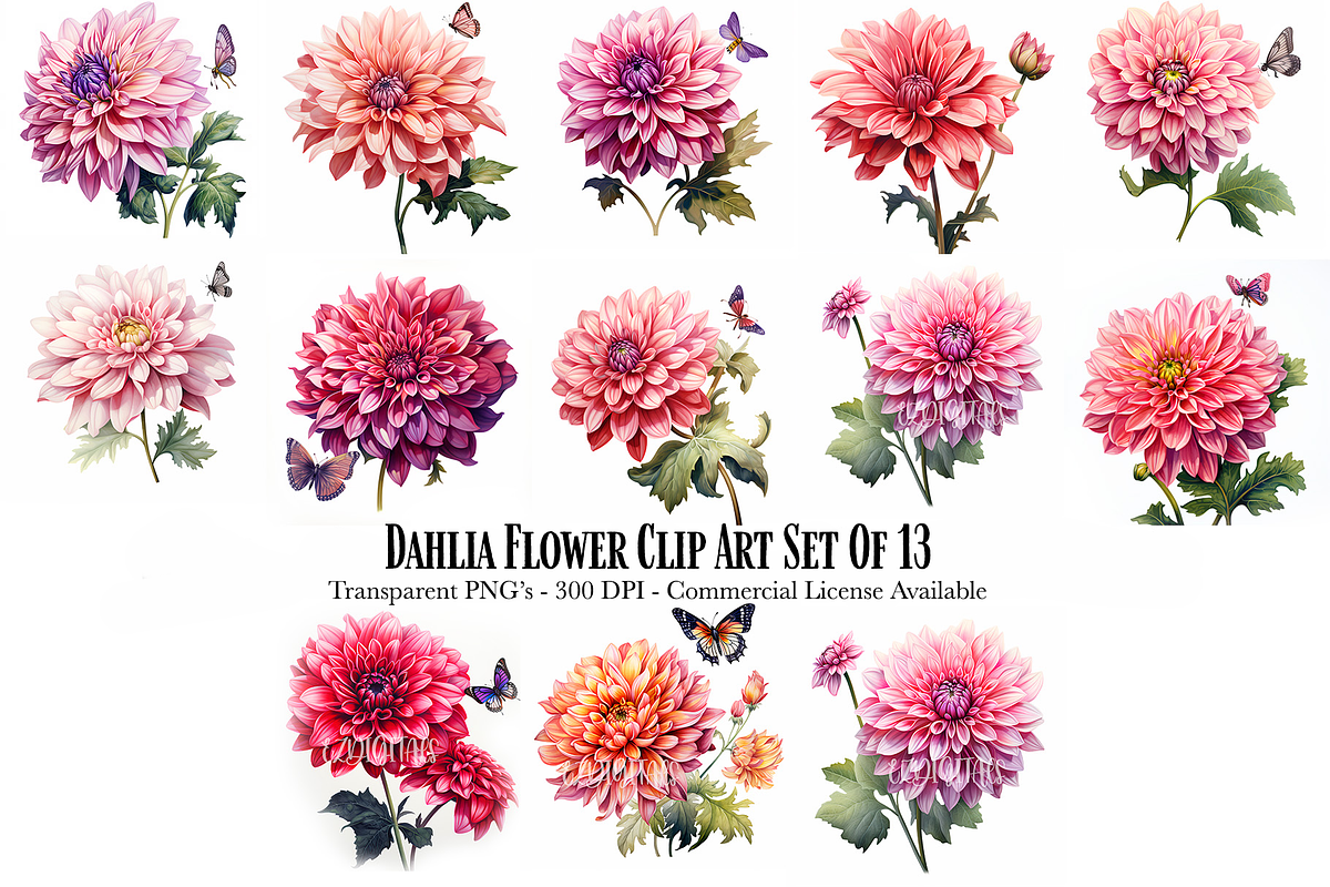 Dahlia Flower and Butterfly Clipart, an Object Graphic by EzDigitals (Photo 1 of 8)