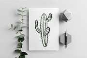Cactus set, a Background Graphic by IPVector (Thumbnail 6 of 8)