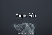 Cvetanoff Sans Serif font -30%, a Sans Serif Font by VP Fonts (Thumbnail 8 of 8)
