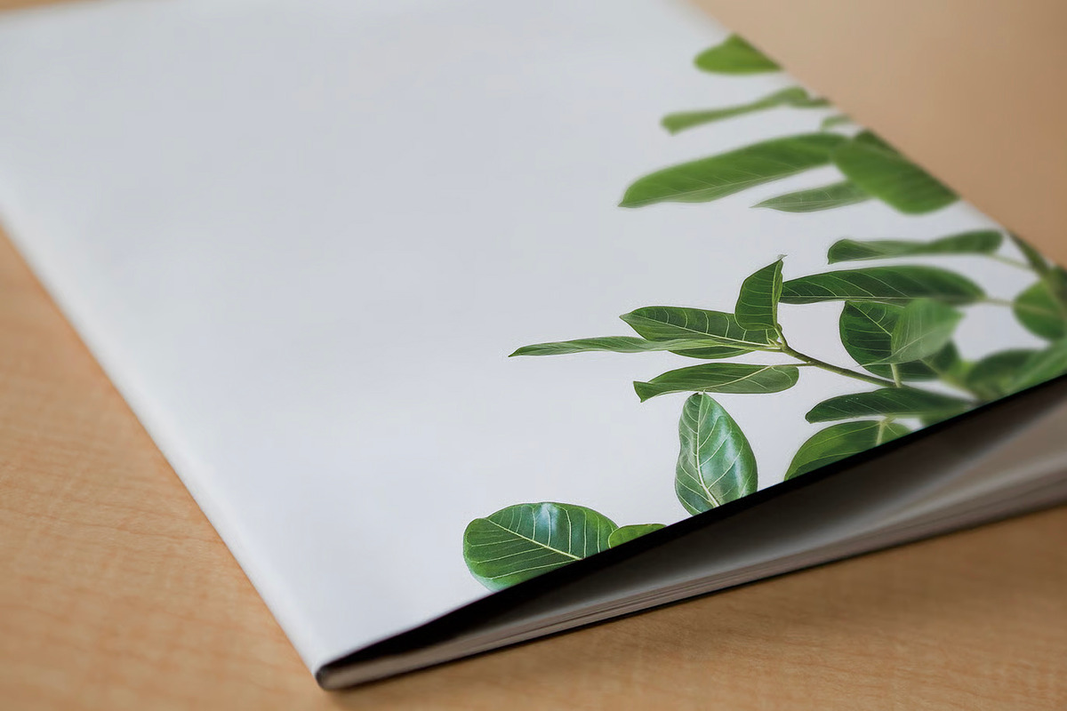 Brochure Mockup Set, a Books & Magazine Mockup by Croma Studio (Photo 15 of 18)