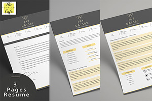 Black Gold Resume Template