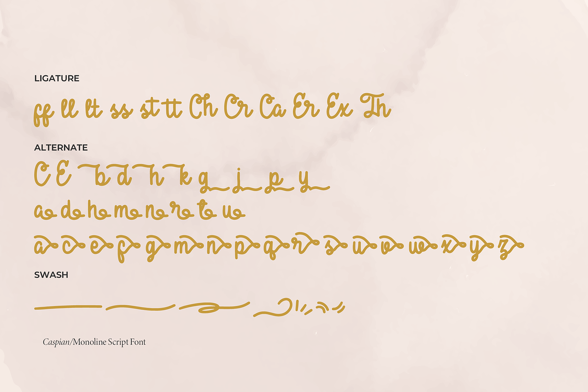 Caspian | Monoline Script, a Script Font by Denustudios (Photo 15 of 15)
