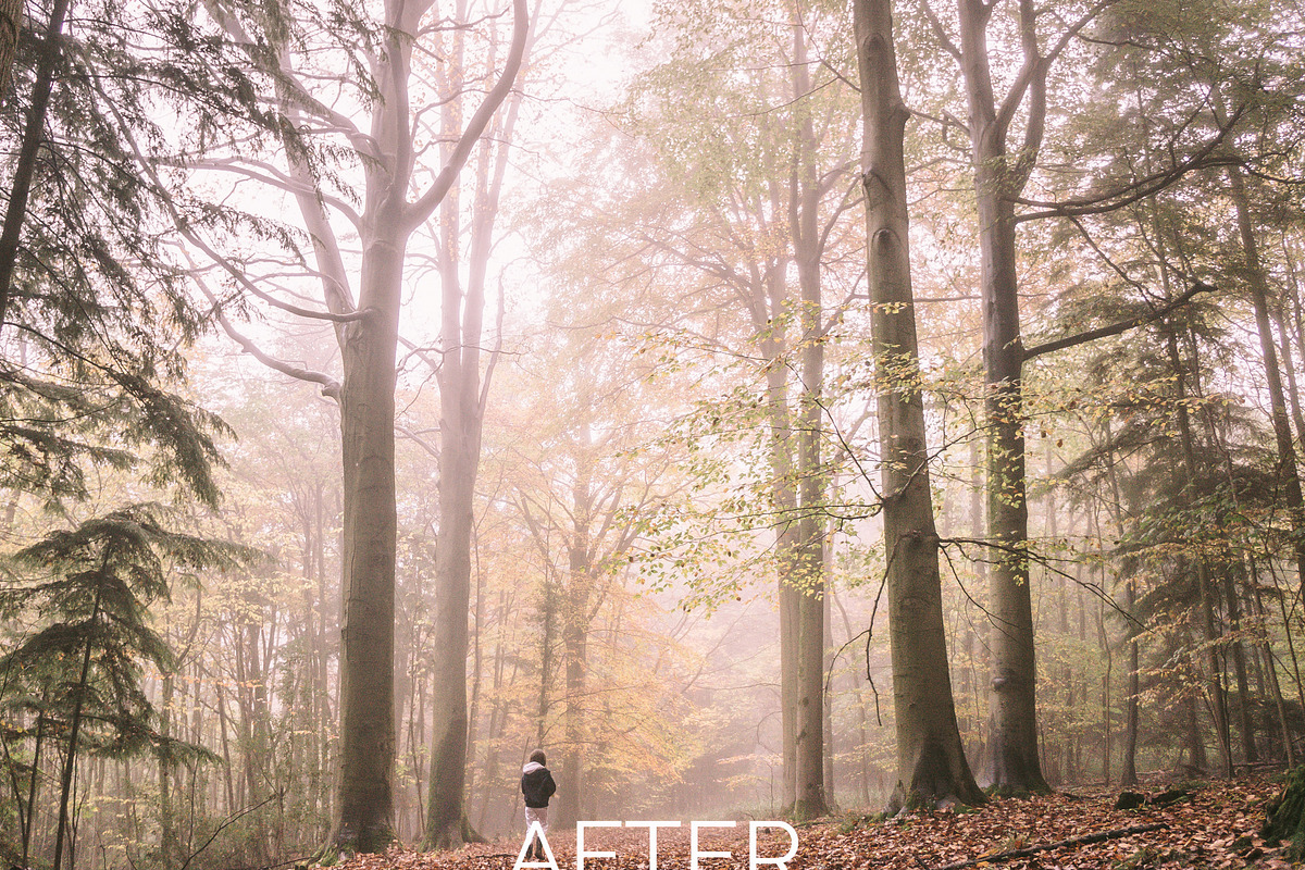 20 Blush Light Lightroom Presets, an Action Add-On by Winsome Effects & Co. (Photo 3 of 4)