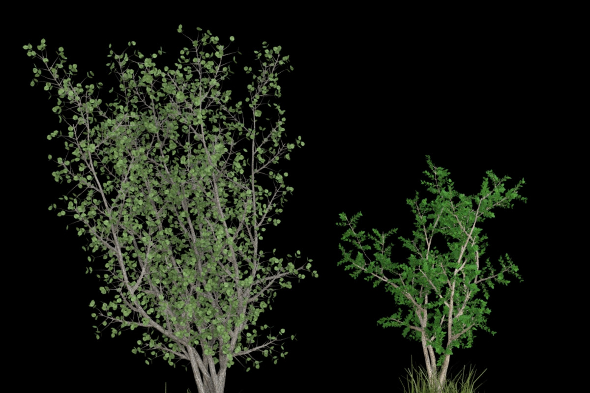pack Nature, an Object Graphic by FlyOk (Photo 8 of 9)