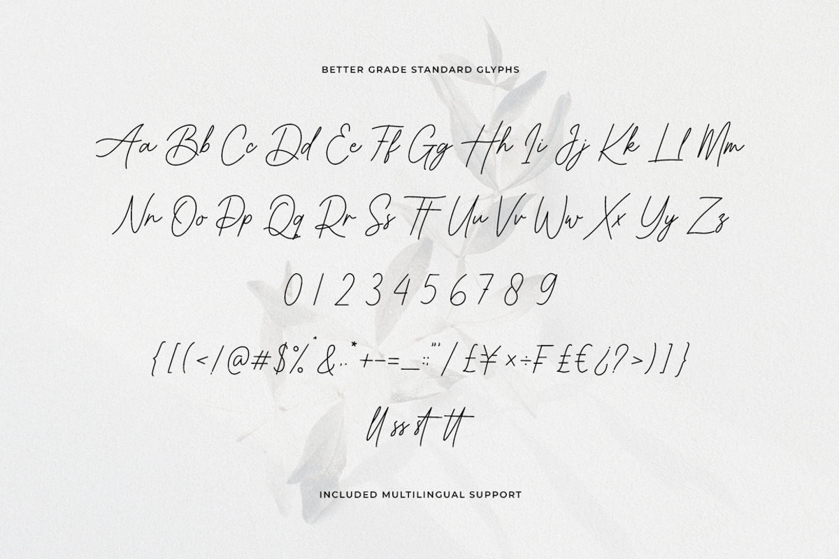 Better Grade Modern Signature Font, a Script Font by Heinzel Std (Photo 23 of 24)