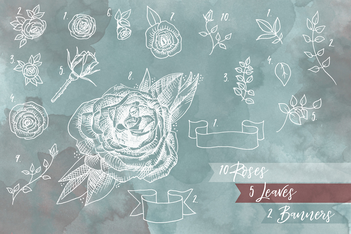 Roses Clip Art Set, an Education Illustration by HenrietteBoldt (Photo 6 of 6)