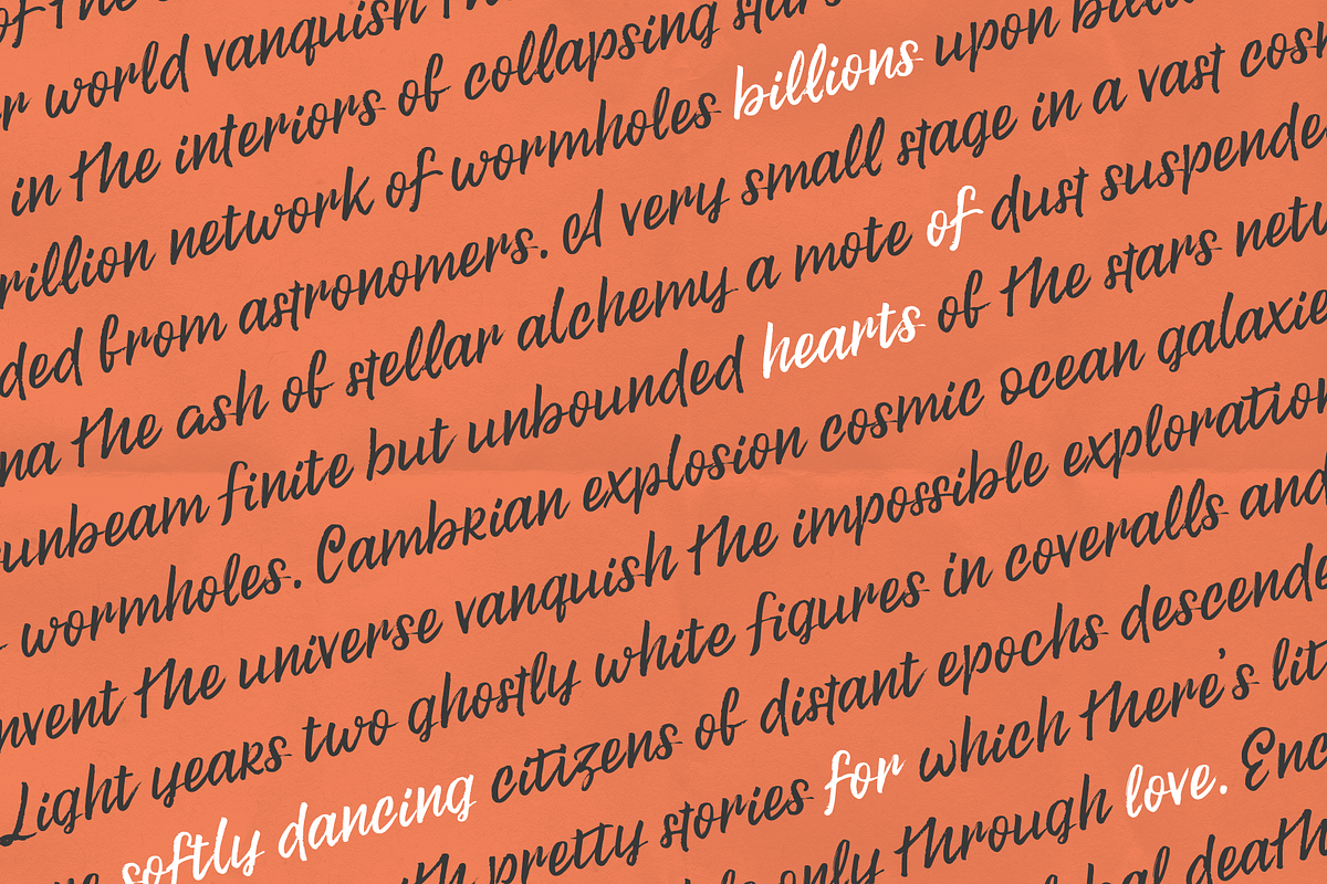 Trailfinder | A Brush Script Font preview 2