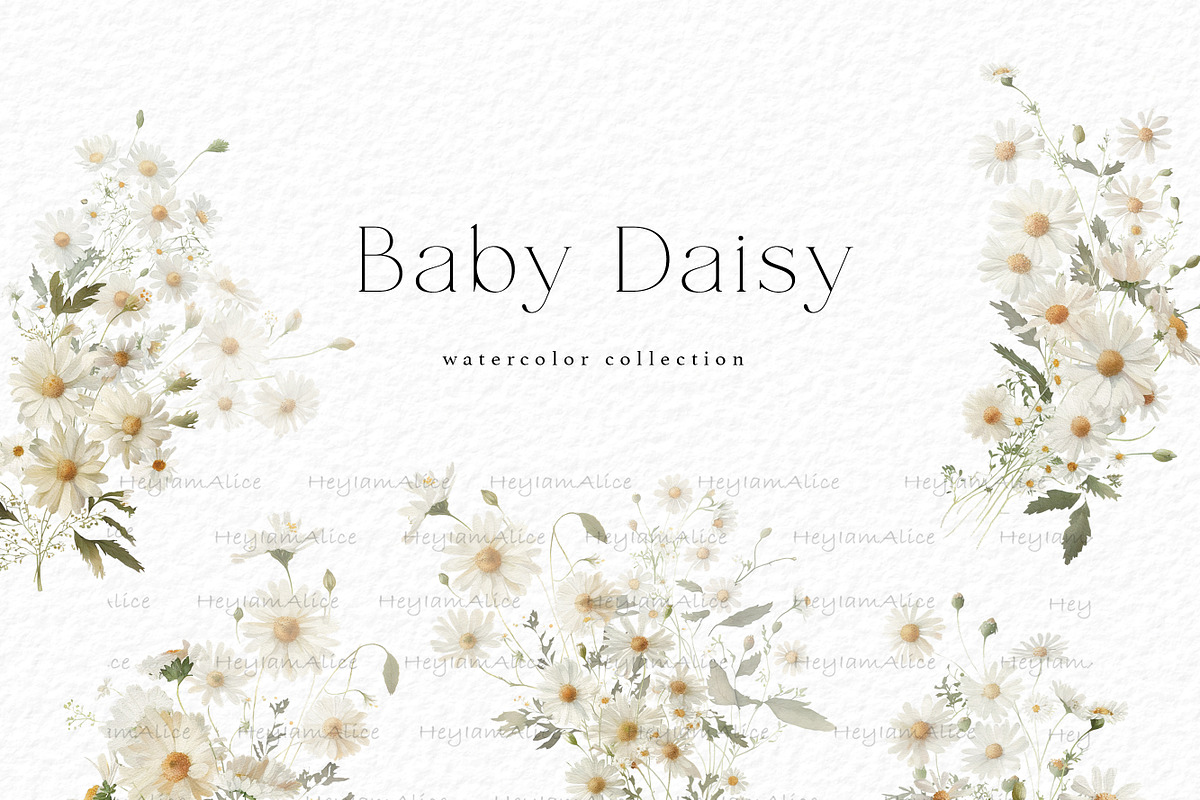 Baby Daisy Flower, a Decorative Illustration by heyiamalice (Photo 2 of 12)