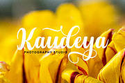 Kaydon, a Script Font by Gatype (Thumbnail 8 of 10)