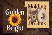 Besteza Modern Serif Display, a Font by timelesstype.co (Thumbnail 8 of 19)