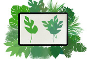 Palm leaves brushes for Procreate, a Brush Add-On by AnastasiyaOleynik (Thumbnail 9 of 12)