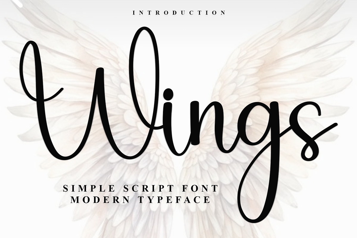 Wings, a Handwritten Font by FreshTypeINK (Photo 1 of 8)