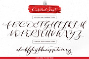 Catedral Script, a Script Font by Ivan Rosenberg (Thumbnail 12 of 13)