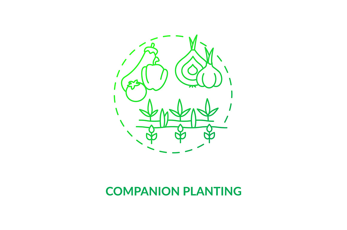 Companion planting concept icon, an Outline Icon by IMG Visuals