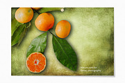 Summer Sorbet Textures, a Texture Graphic by rileyBgraphics (Thumbnail 4 of 8)