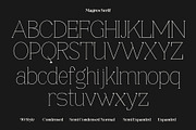 Magres, a Serif Font by Propertype (Thumbnail 11 of 15)