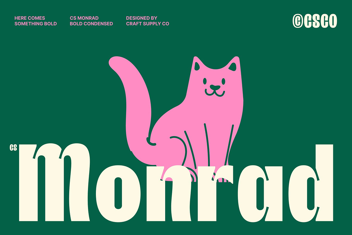 CS Monrad – Inktrap Font, a Sans Serif Font by Craft Supply Co. (Photo 1 of 8)