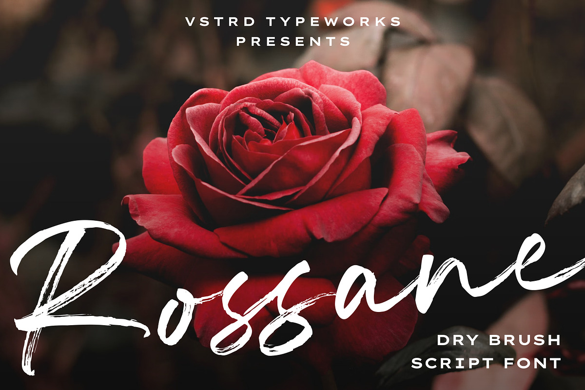 Rossane - Dry Brush Script Font, a Script Font by VSTRD TYPEWORKS (Photo 1 of 12)