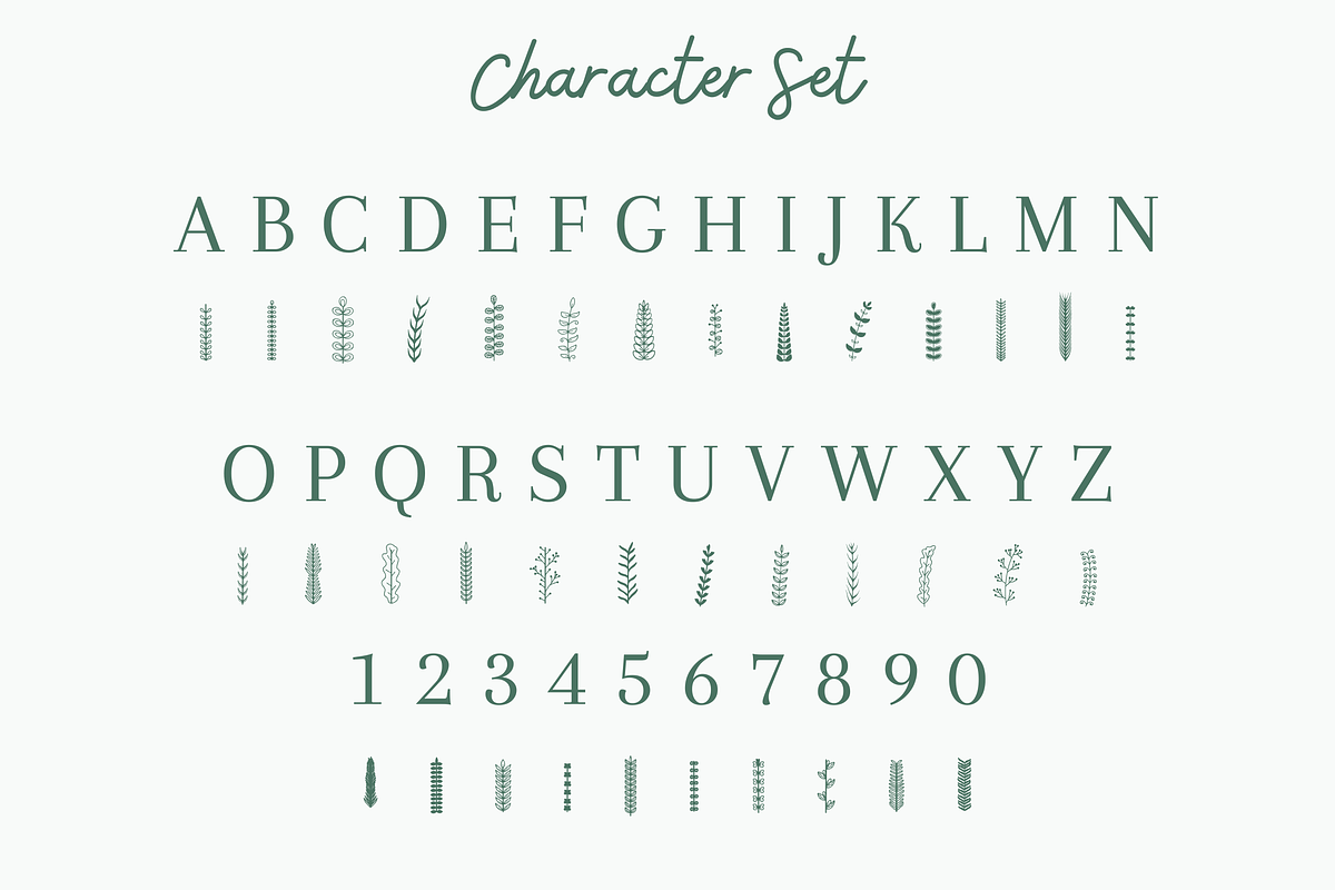 Crownleaf Dingbat, a Symbol Font by Dm Studio (Photo 7 of 7)