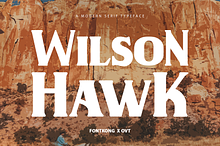 Wilson Hawk - Modern Serif Typeface
