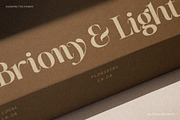 The Silver Editorial - 18 Fonts Pack, a Serif Font by SilverStag Type Foundry (Thumbnail 9 of 30)