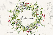 Midsummer - field flowers clipart, a Decorative Illustration by whiteheartdesign (Thumbnail 7 of 16)