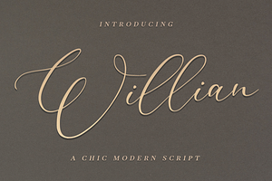 Willian - a chic modern script