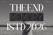 The New Memory, a Serif Font by TM Type (Thumbnail 17 of 17)