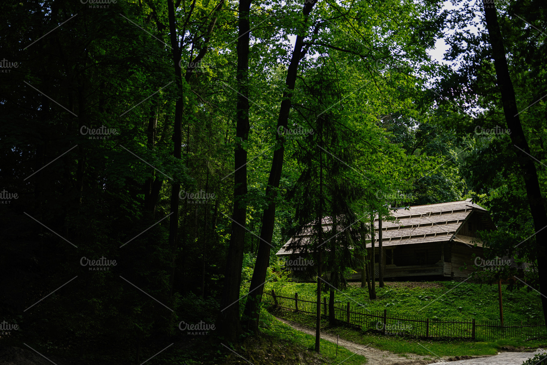 Rustic wooden house surrounded by lush greenery in a tranquil forest setting, a Photo by AS photostudio